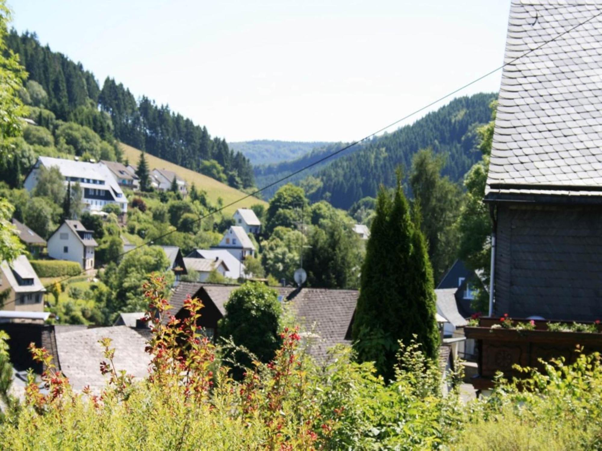 Large Holiday Home In Willingen With Private Garden And Several Terraces Exterior foto