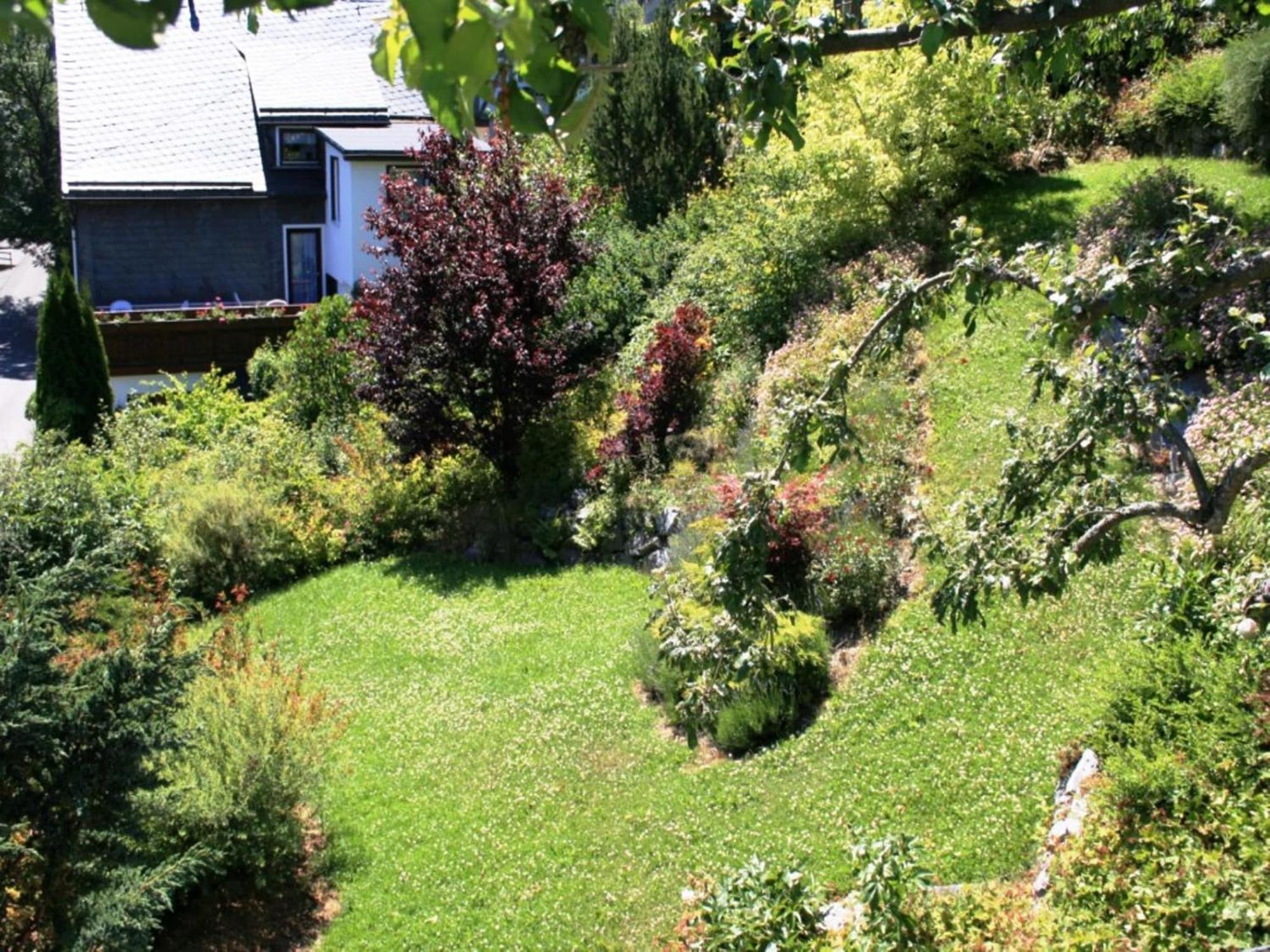 Large Holiday Home In Willingen With Private Garden And Several Terraces Exterior foto
