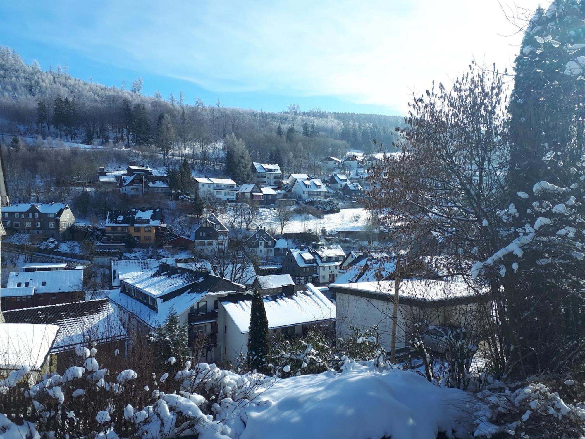 Large Holiday Home In Willingen With Private Garden And Several Terraces Exterior foto
