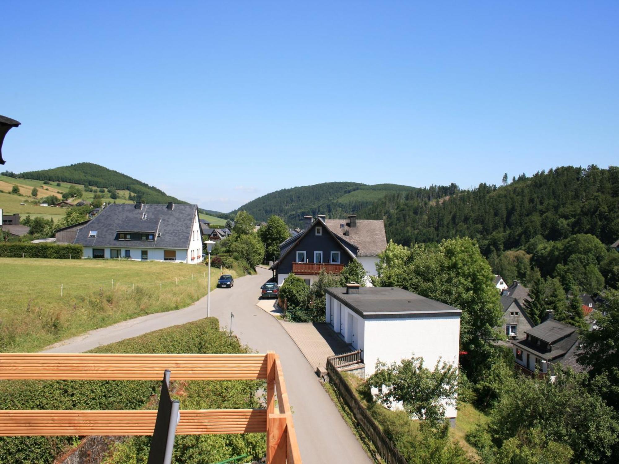 Large Holiday Home In Willingen With Private Garden And Several Terraces Exterior foto